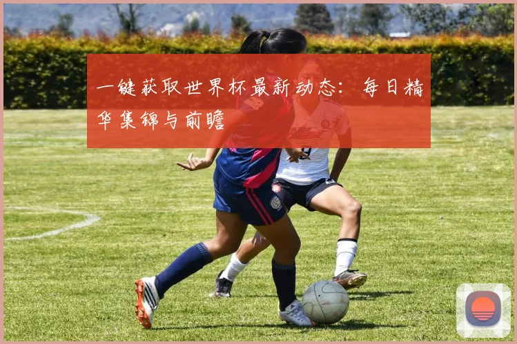 一键获取世界杯最新动态：每日精华集锦与前瞻